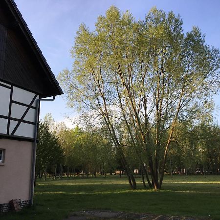 Spreewaldhaus Melcher บวร์ก ภายนอก รูปภาพ